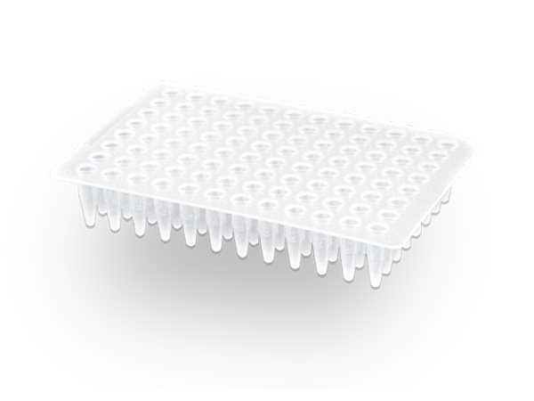 0.1ml 96孔PCR板 無裙邊 透明