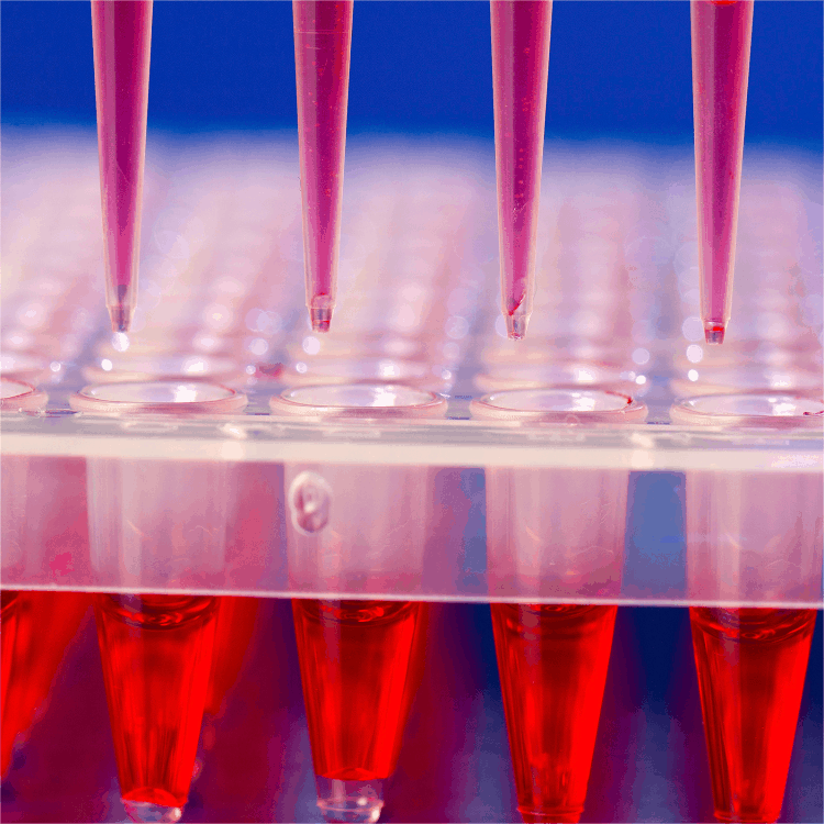 預(yù)告·第91屆中國(guó)國(guó)際醫(yī)療器械(春季)博覽會(huì)