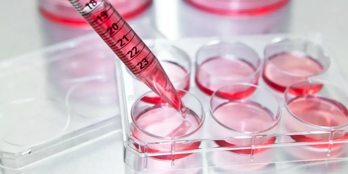 細胞培養(yǎng)皿，助力生命科學研究