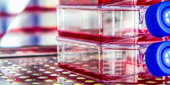 細(xì)胞培養(yǎng)及其挑戰(zhàn)簡(jiǎn)介