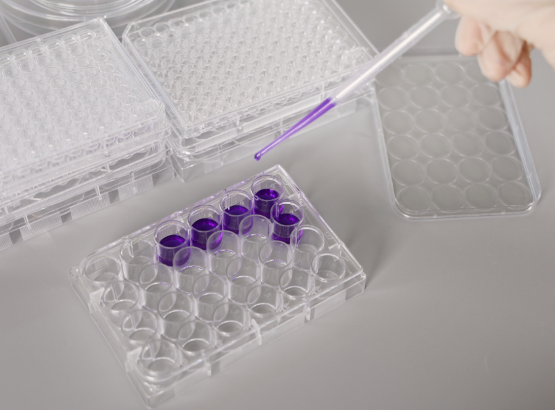 細胞培養(yǎng)板