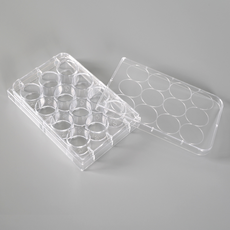 12 孔細(xì)胞培養(yǎng)板