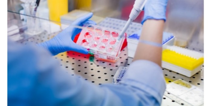 細(xì)胞培養(yǎng)的流程？