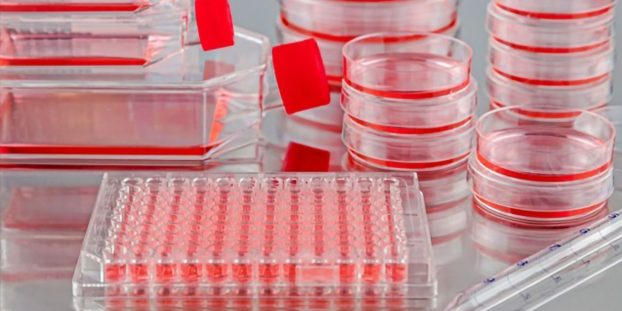 使用細(xì)胞培養(yǎng)板時(shí)常見(jiàn)問(wèn)題解答