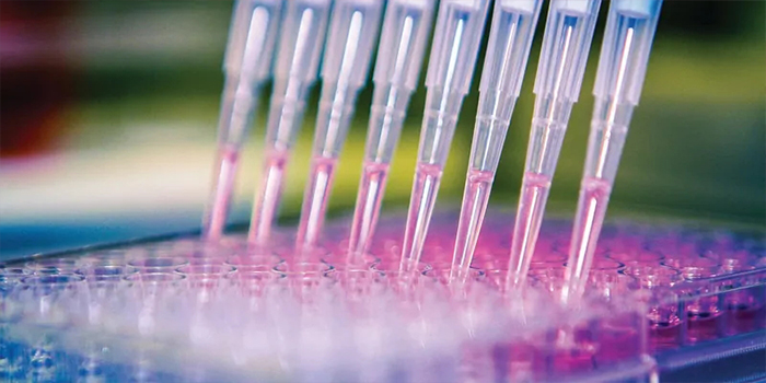 手動還是自動？選擇最佳移液方法