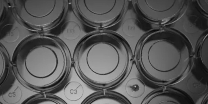 細(xì)胞培養(yǎng)皿的用途和類型