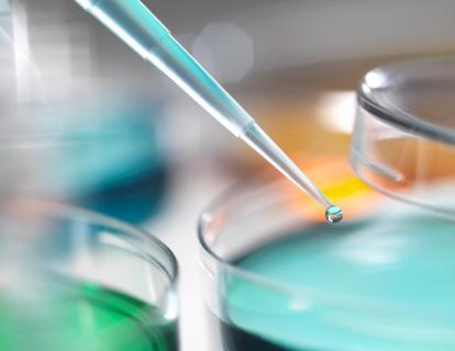 細(xì)胞培養(yǎng)