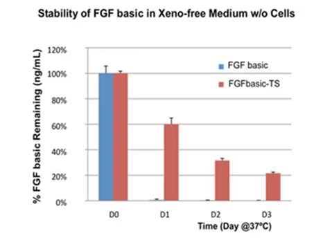 細(xì)胞培養(yǎng)