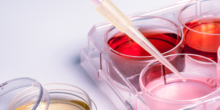 細胞培養(yǎng)容器有哪些？