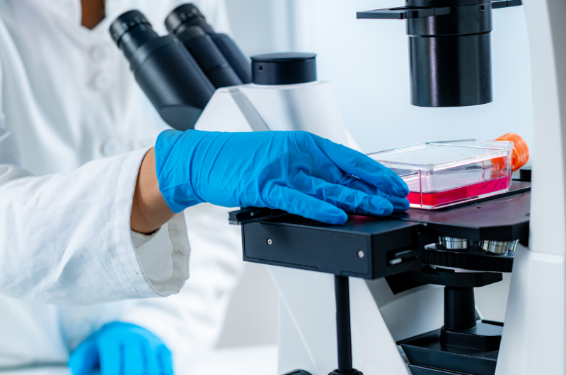 細(xì)胞培養(yǎng)瓶