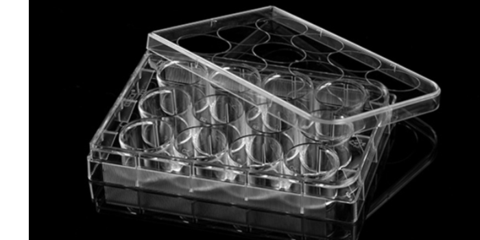 TC處理對(duì)細(xì)胞培養(yǎng)板的好處