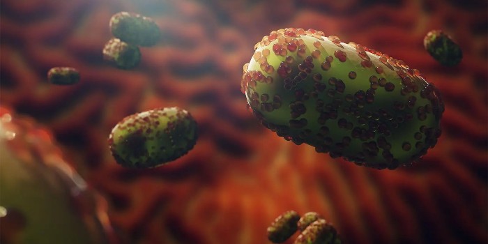 什么是猴痘？癥狀、風險因素、治療以及病毒的傳播方式