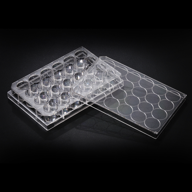 細胞培養(yǎng)板