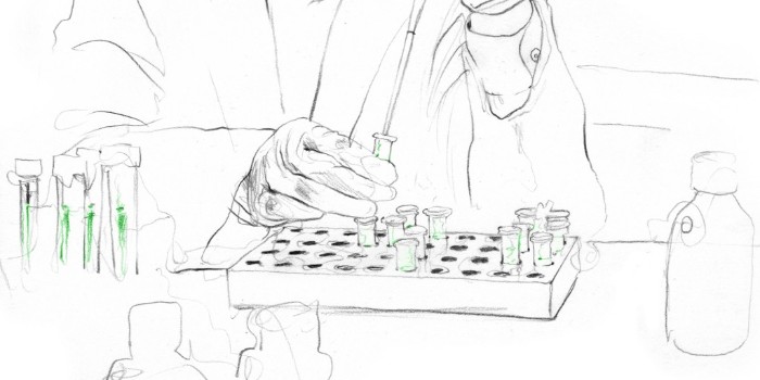 如何培養(yǎng)哺乳動物細胞培養(yǎng)物？