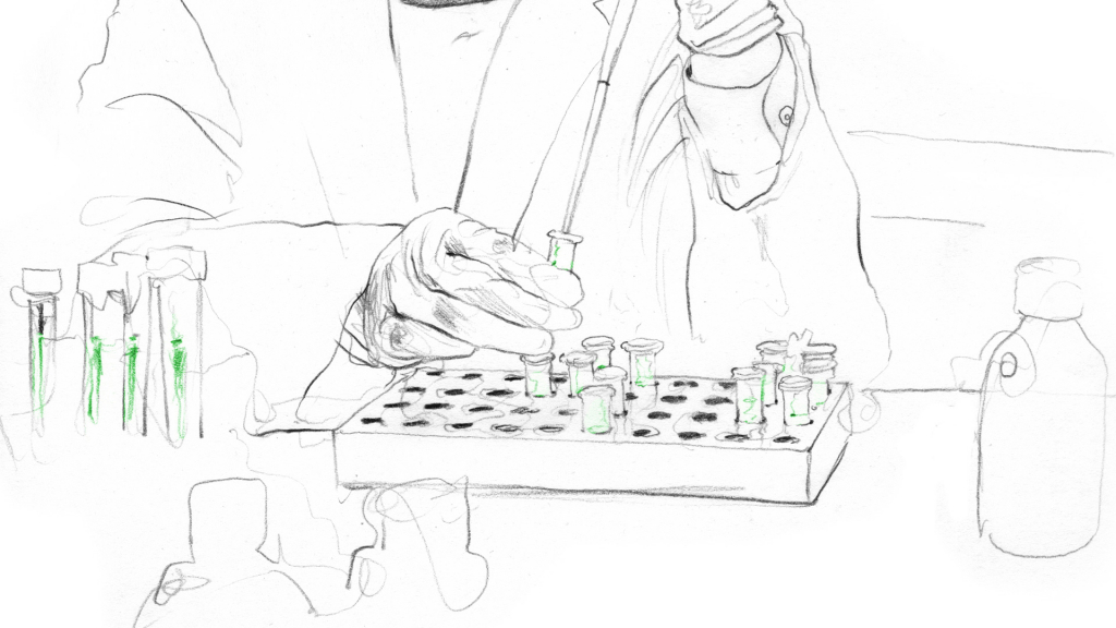 動物細(xì)胞培養(yǎng)