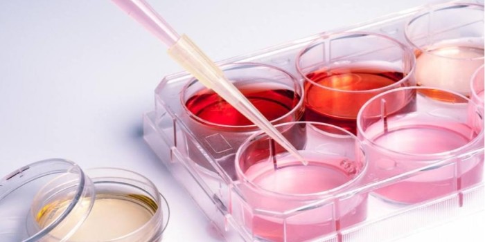 細(xì)胞培養(yǎng)基使用過(guò)程中常見(jiàn)問(wèn)題分析