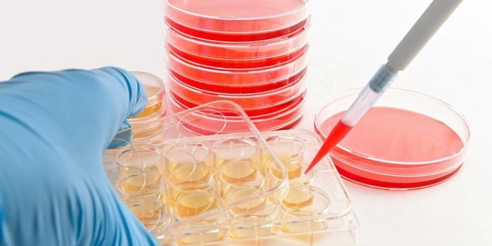 細胞收集方法如何選擇？