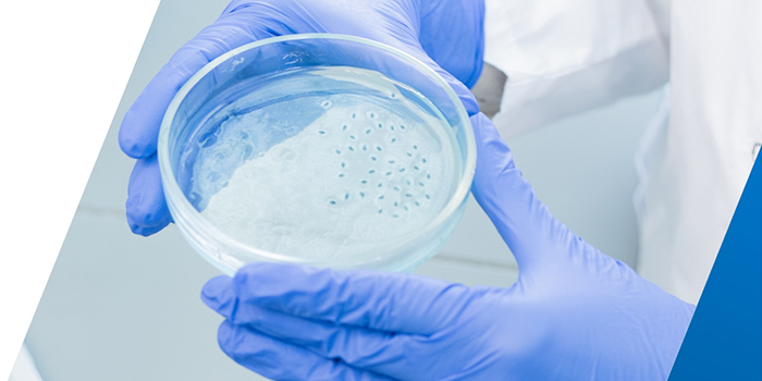 細(xì)胞培養(yǎng)在實驗室研究中的作用是什么？